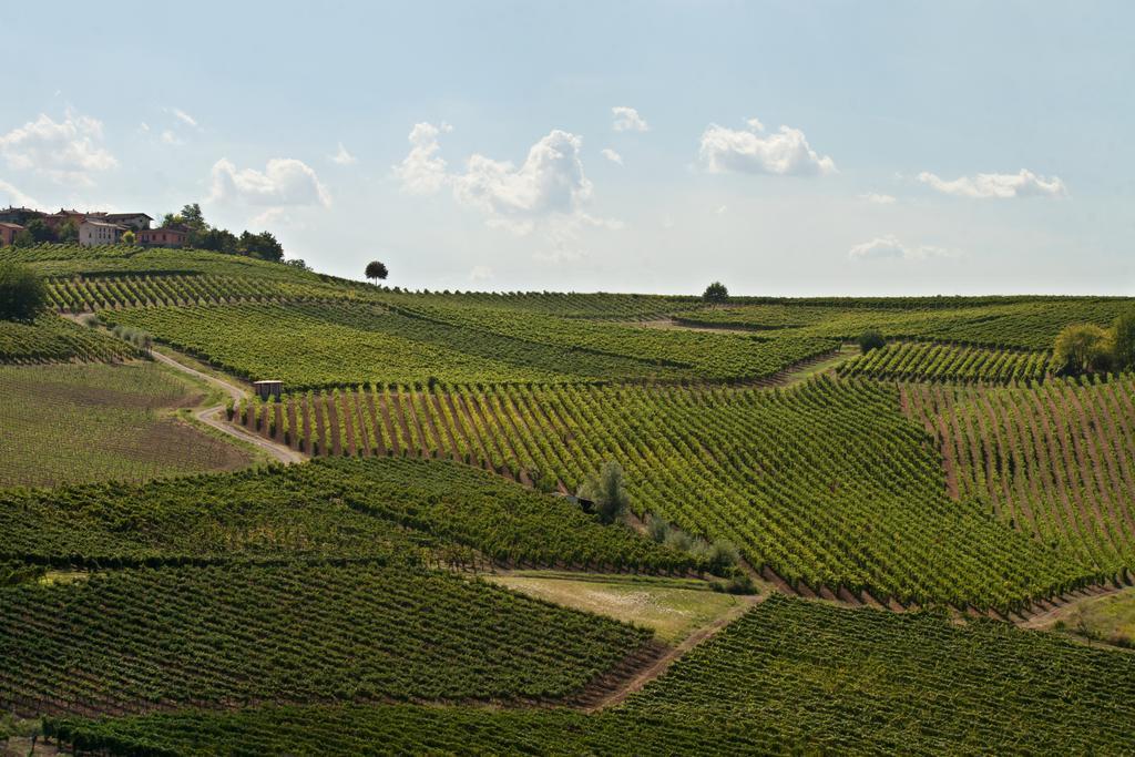 Il Poggio B&B San Damiano al Colle ภายนอก รูปภาพ