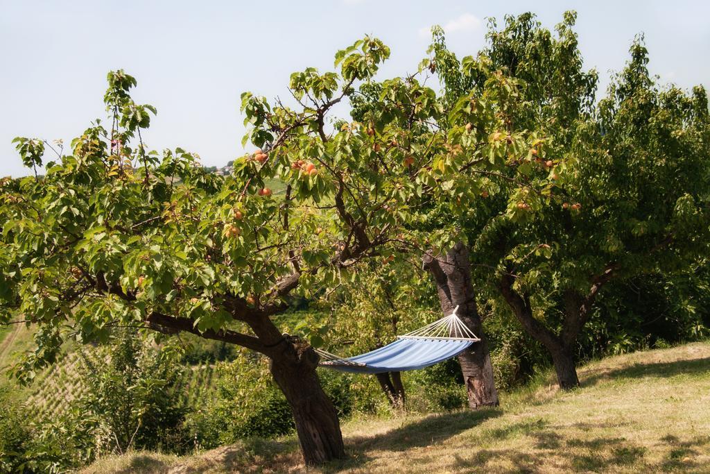 Il Poggio B&B San Damiano al Colle ภายนอก รูปภาพ